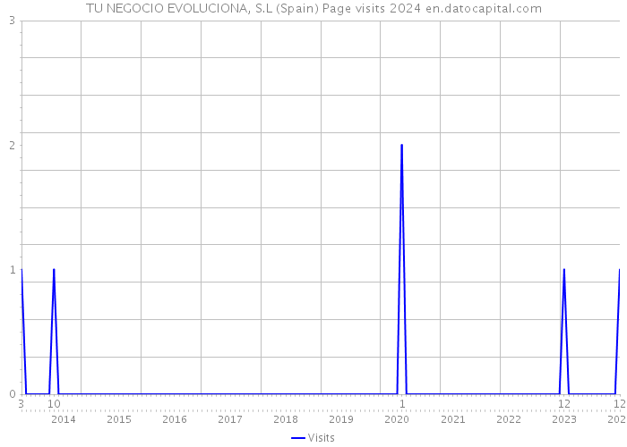 TU NEGOCIO EVOLUCIONA, S.L (Spain) Page visits 2024 