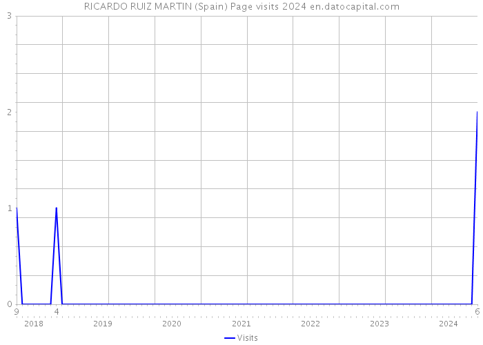 RICARDO RUIZ MARTIN (Spain) Page visits 2024 