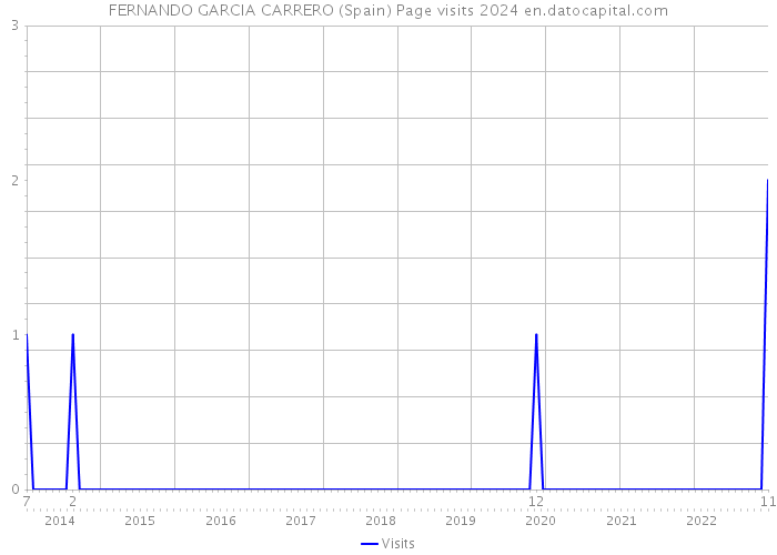 FERNANDO GARCIA CARRERO (Spain) Page visits 2024 