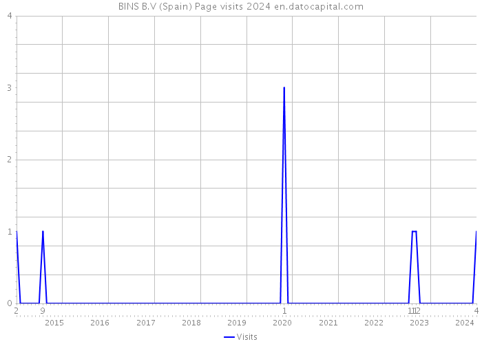 BINS B.V (Spain) Page visits 2024 