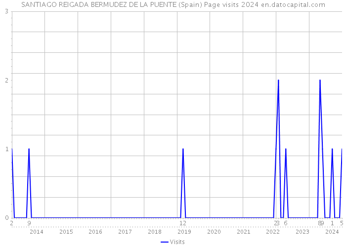 SANTIAGO REIGADA BERMUDEZ DE LA PUENTE (Spain) Page visits 2024 