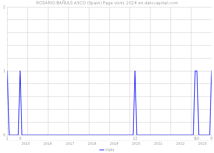 ROSARIO BAÑULS ASCO (Spain) Page visits 2024 