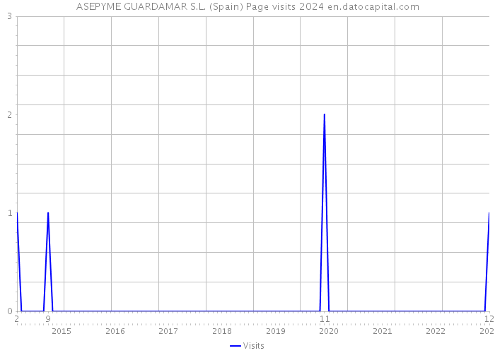 ASEPYME GUARDAMAR S.L. (Spain) Page visits 2024 