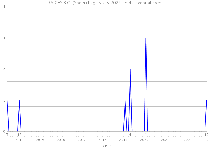 RAICES S.C. (Spain) Page visits 2024 