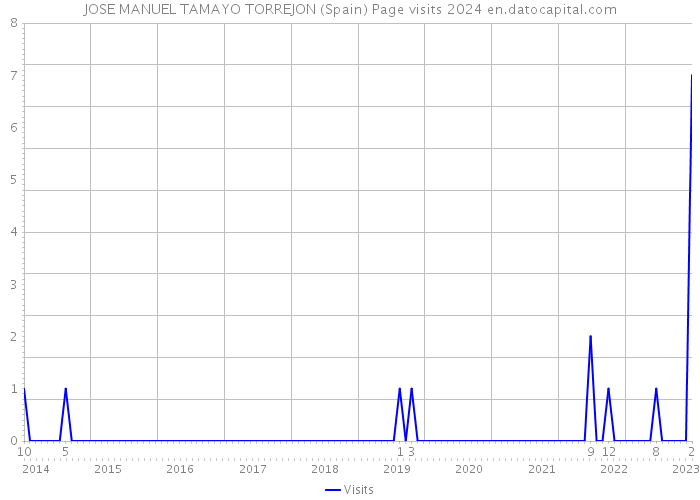 JOSE MANUEL TAMAYO TORREJON (Spain) Page visits 2024 