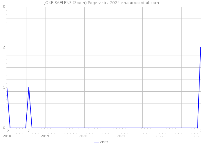 JOKE SAELENS (Spain) Page visits 2024 