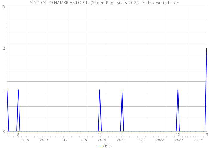 SINDICATO HAMBRIENTO S.L. (Spain) Page visits 2024 