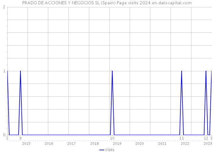 PRADO DE ACCIONES Y NEGOCIOS SL (Spain) Page visits 2024 