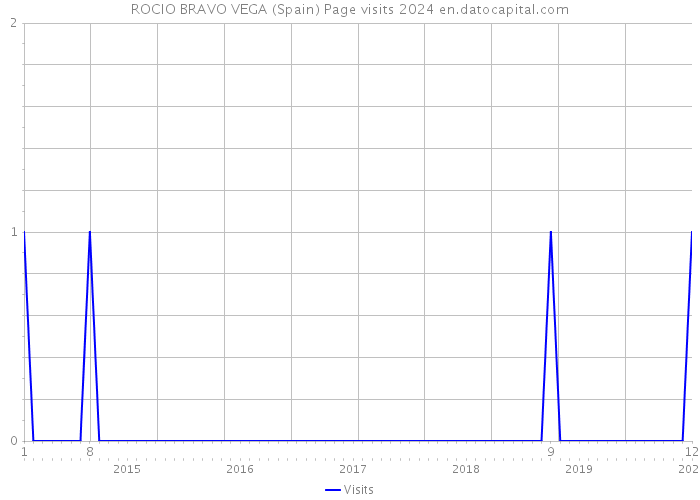 ROCIO BRAVO VEGA (Spain) Page visits 2024 