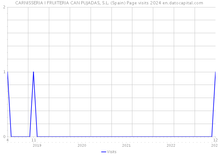 CARNISSERIA I FRUITERIA CAN PUJADAS, S.L. (Spain) Page visits 2024 