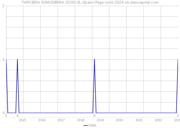 TAPICERIA SOMOSIERRA OCHO SL (Spain) Page visits 2024 