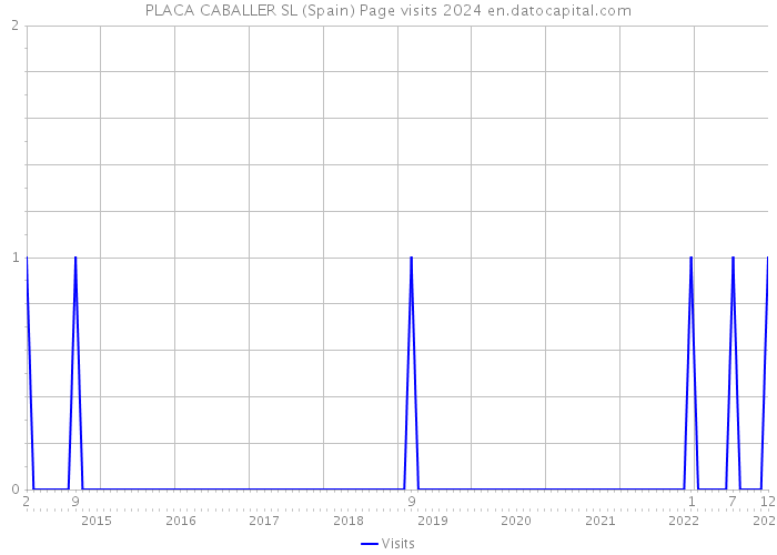 PLACA CABALLER SL (Spain) Page visits 2024 