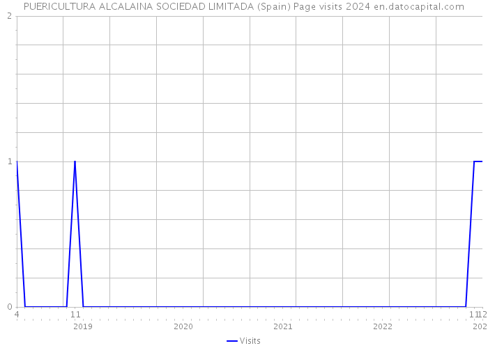 PUERICULTURA ALCALAINA SOCIEDAD LIMITADA (Spain) Page visits 2024 