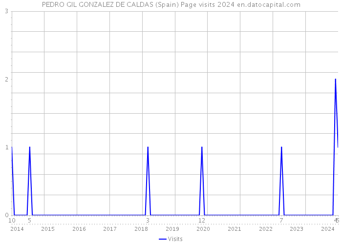 PEDRO GIL GONZALEZ DE CALDAS (Spain) Page visits 2024 
