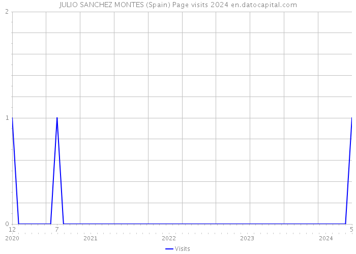 JULIO SANCHEZ MONTES (Spain) Page visits 2024 