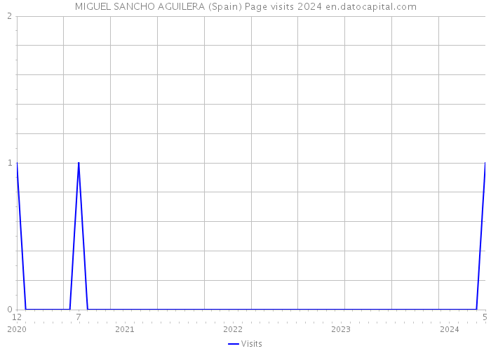 MIGUEL SANCHO AGUILERA (Spain) Page visits 2024 