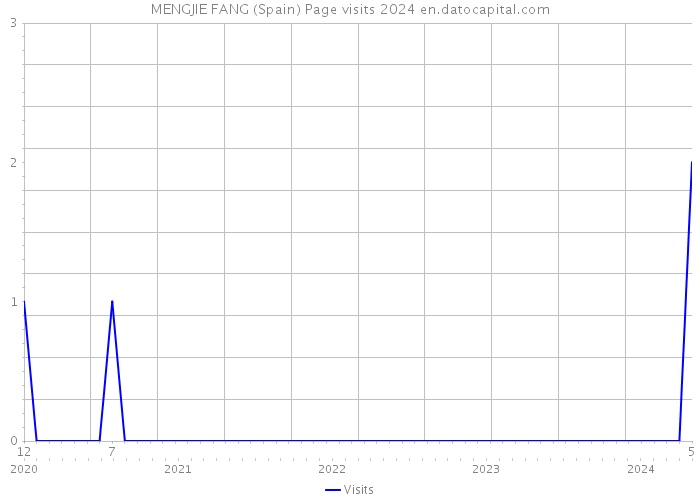MENGJIE FANG (Spain) Page visits 2024 