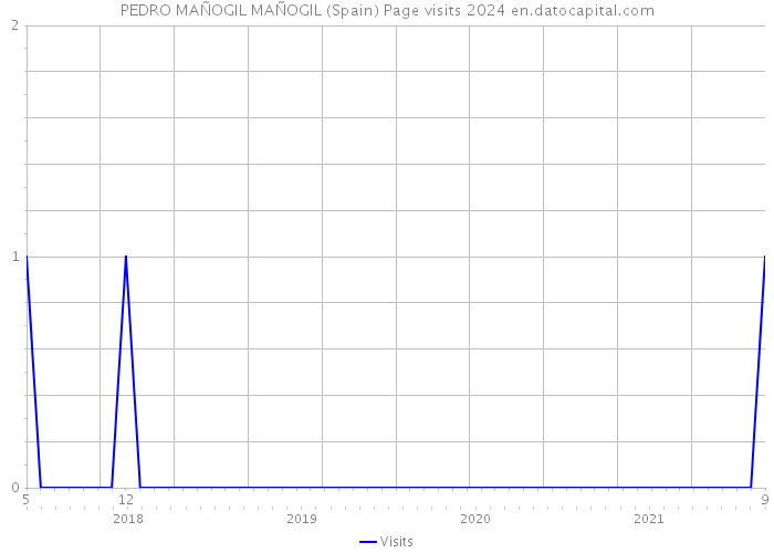 PEDRO MAÑOGIL MAÑOGIL (Spain) Page visits 2024 