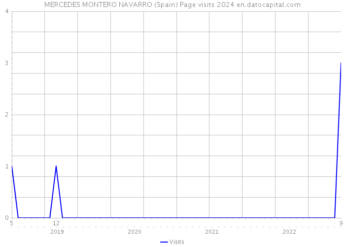 MERCEDES MONTERO NAVARRO (Spain) Page visits 2024 