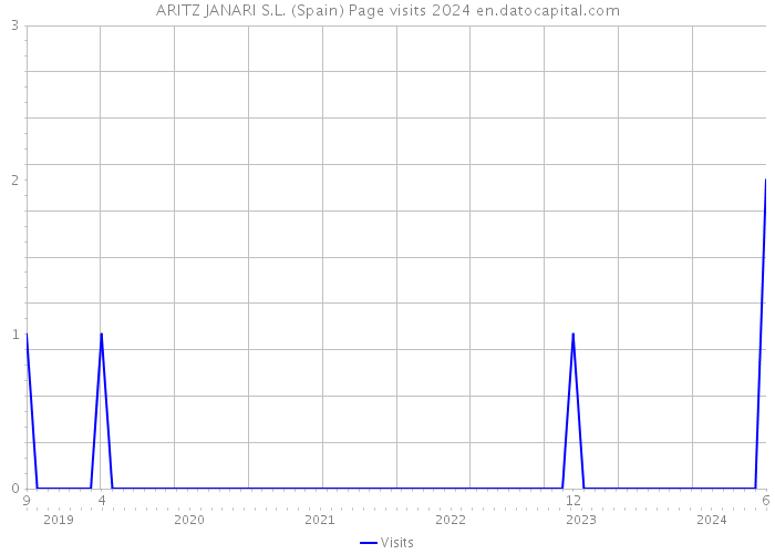 ARITZ JANARI S.L. (Spain) Page visits 2024 