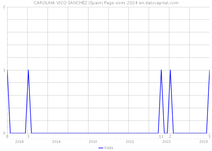 CAROLINA VICO SANCHEZ (Spain) Page visits 2024 