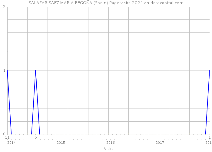 SALAZAR SAEZ MARIA BEGOÑA (Spain) Page visits 2024 