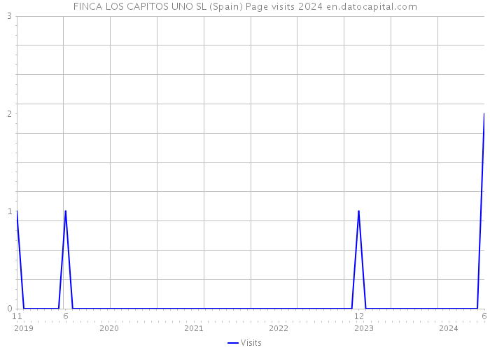 FINCA LOS CAPITOS UNO SL (Spain) Page visits 2024 