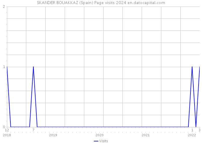 SKANDER BOUAKKAZ (Spain) Page visits 2024 