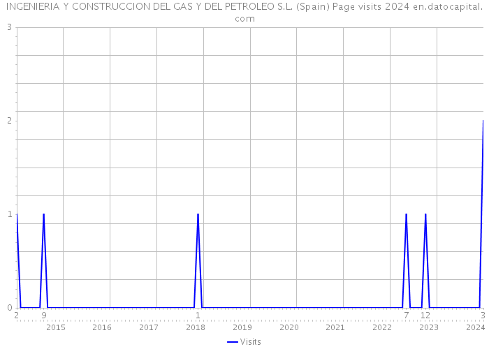INGENIERIA Y CONSTRUCCION DEL GAS Y DEL PETROLEO S.L. (Spain) Page visits 2024 