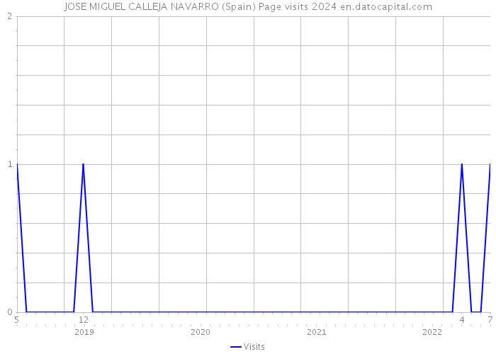 JOSE MIGUEL CALLEJA NAVARRO (Spain) Page visits 2024 