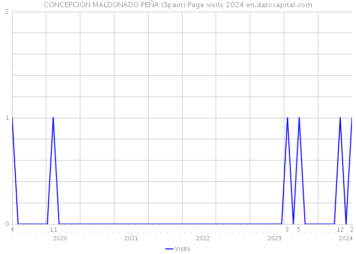 CONCEPCION MALDONADO PEÑA (Spain) Page visits 2024 