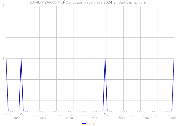 DAVID PIZARRO MUÑOZ (Spain) Page visits 2024 
