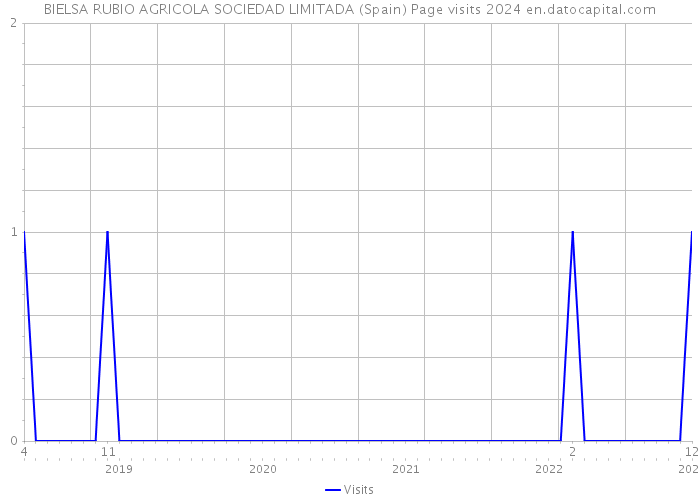 BIELSA RUBIO AGRICOLA SOCIEDAD LIMITADA (Spain) Page visits 2024 