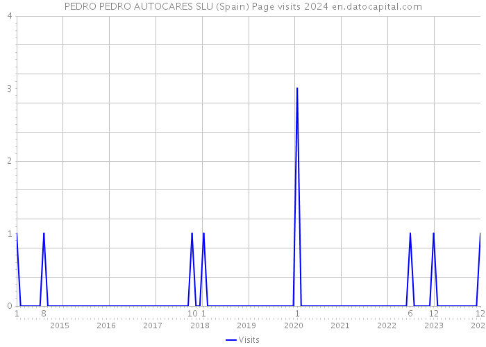 PEDRO PEDRO AUTOCARES SLU (Spain) Page visits 2024 