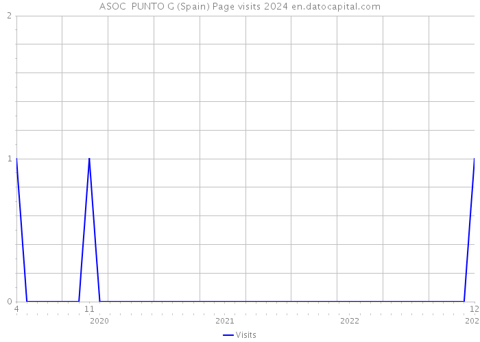 ASOC PUNTO G (Spain) Page visits 2024 
