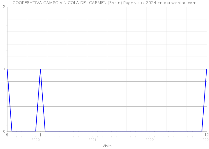 COOPERATIVA CAMPO VINICOLA DEL CARMEN (Spain) Page visits 2024 