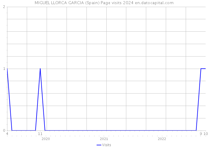 MIGUEL LLORCA GARCIA (Spain) Page visits 2024 