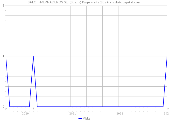 SALO INVERNADEROS SL. (Spain) Page visits 2024 