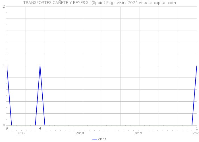 TRANSPORTES CAÑETE Y REYES SL (Spain) Page visits 2024 