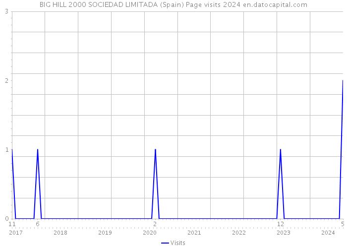 BIG HILL 2000 SOCIEDAD LIMITADA (Spain) Page visits 2024 