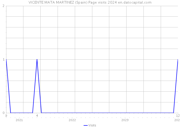VICENTE MATA MARTINEZ (Spain) Page visits 2024 