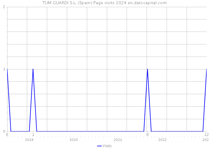 TUM GUARDI S.L. (Spain) Page visits 2024 