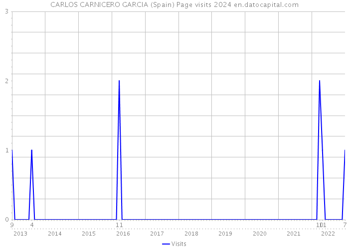 CARLOS CARNICERO GARCIA (Spain) Page visits 2024 