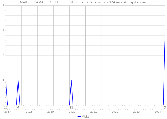 MAIDER CAMARERO SUSPERREGUI (Spain) Page visits 2024 