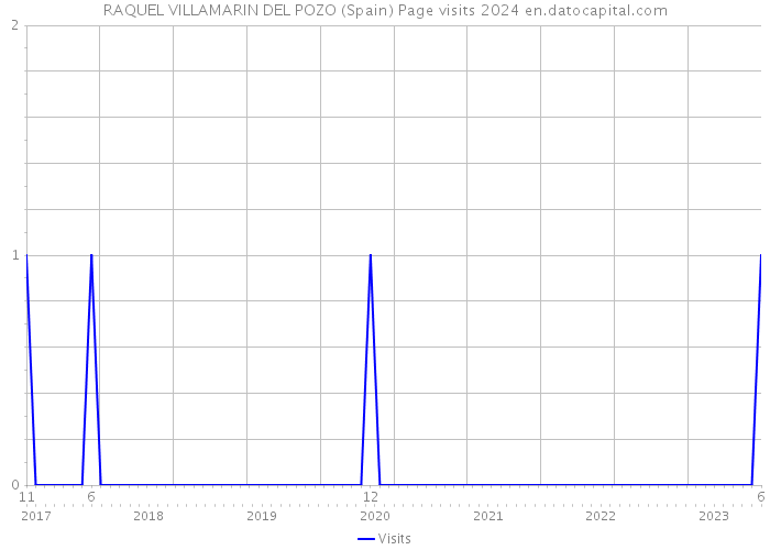 RAQUEL VILLAMARIN DEL POZO (Spain) Page visits 2024 