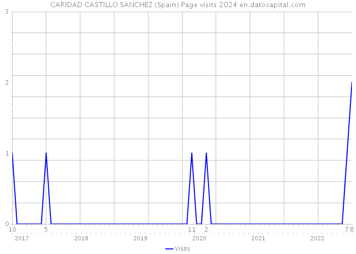 CARIDAD CASTILLO SANCHEZ (Spain) Page visits 2024 