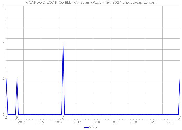 RICARDO DIEGO RICO BELTRA (Spain) Page visits 2024 