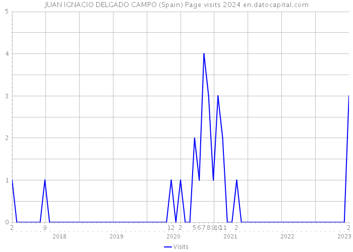 JUAN IGNACIO DELGADO CAMPO (Spain) Page visits 2024 