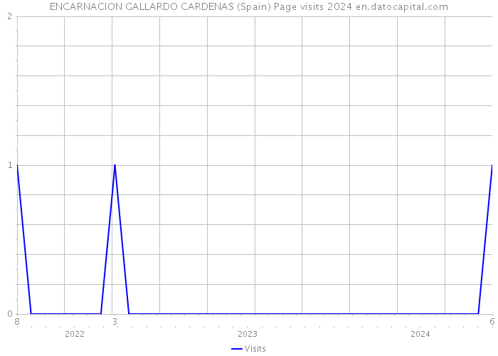 ENCARNACION GALLARDO CARDENAS (Spain) Page visits 2024 