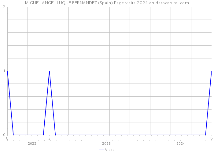 MIGUEL ANGEL LUQUE FERNANDEZ (Spain) Page visits 2024 